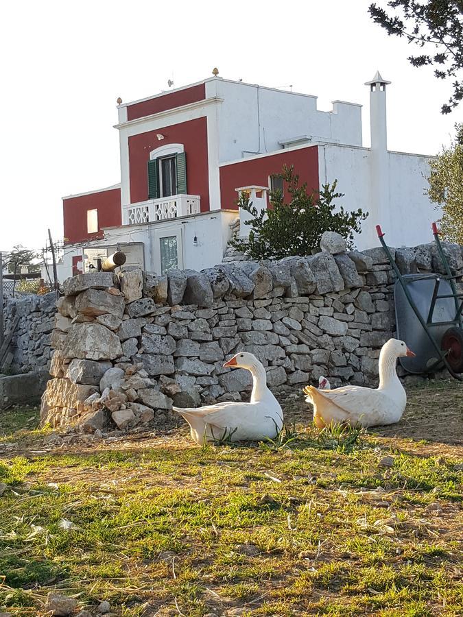 Masseria Trulli sull'Aia Cisternino Esterno foto