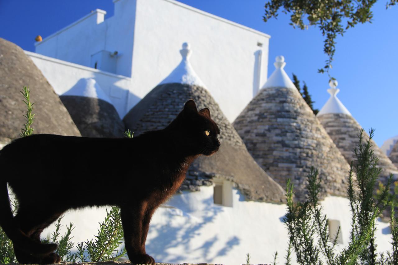 Masseria Trulli sull'Aia Cisternino Esterno foto