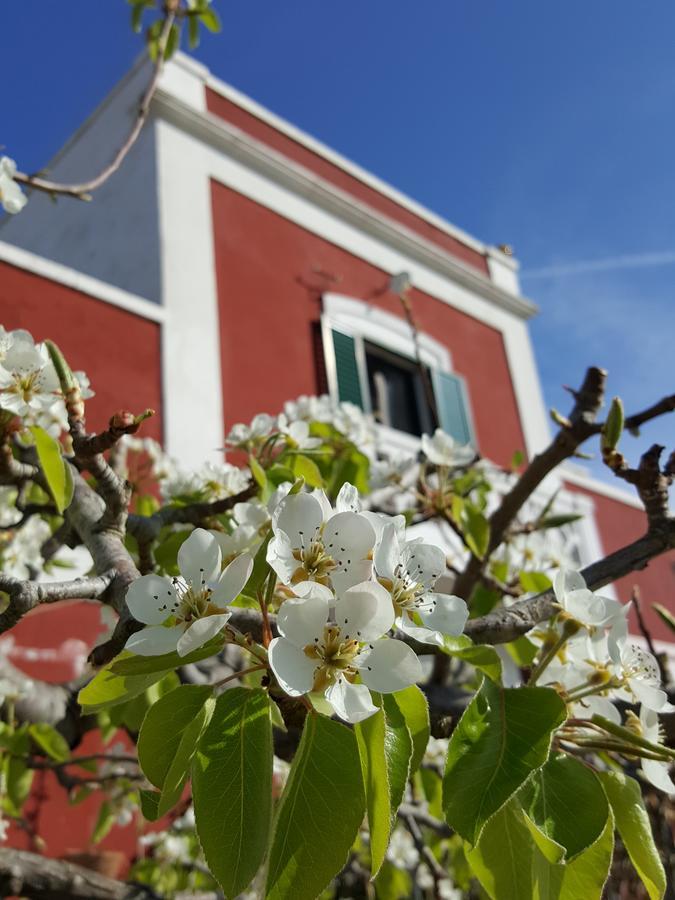 Masseria Trulli sull'Aia Cisternino Esterno foto